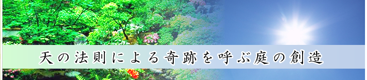 �V�̖@���ɂ���Ղ��ĂԒ�̑n��